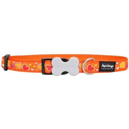 RED DINGO Dog Collar Design Breezy Love Orange, Medium RE437107